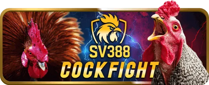 Ưu đãi độc quyền AV88
