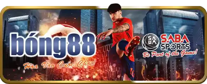 Các loại kèo đá gà phổ biến tại AV88